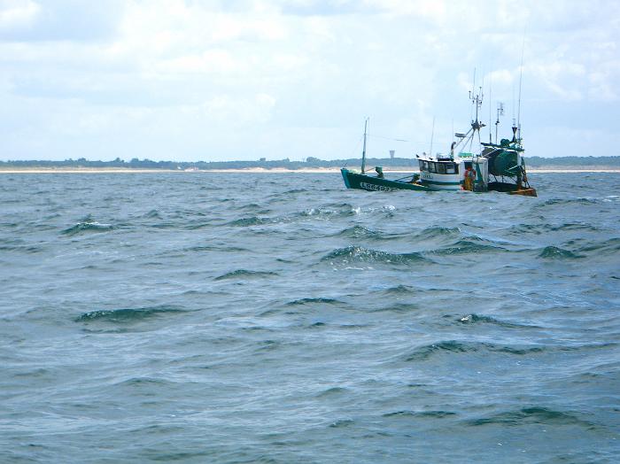 Op weg naar Ile de Ré