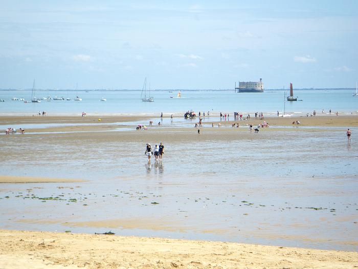 Strand bij laagwater